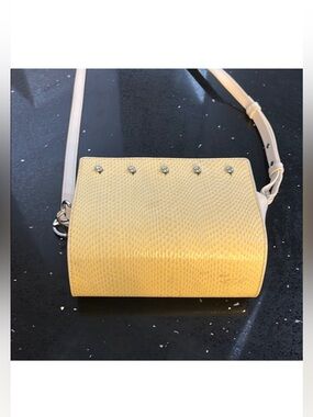 Alexander Wang Snake Skin Crossbody